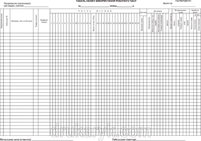 Табель обліку використання робочого часу, А3 1+0 1076 фото