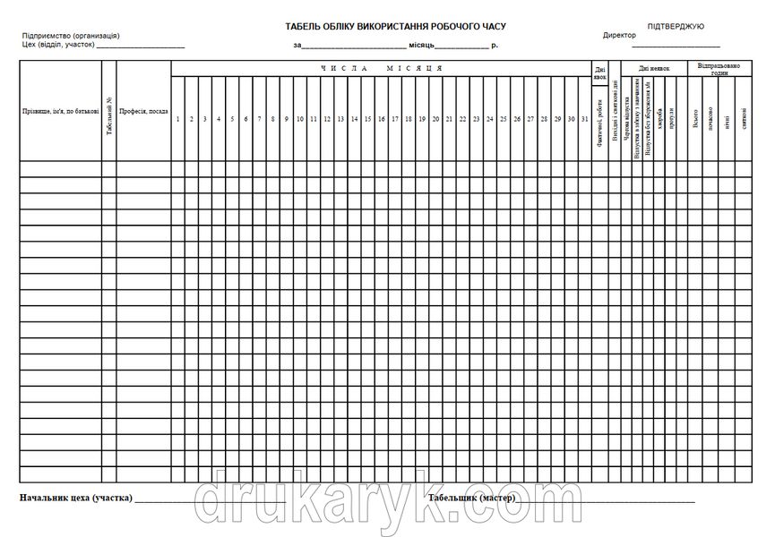 Табель обліку використання робочого часу, А4 1+0, біл. 80 г 977 фото